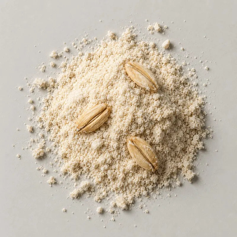 A mound of pale oat coloured powder with three whole oat grains resting on top, on a stone grey background
