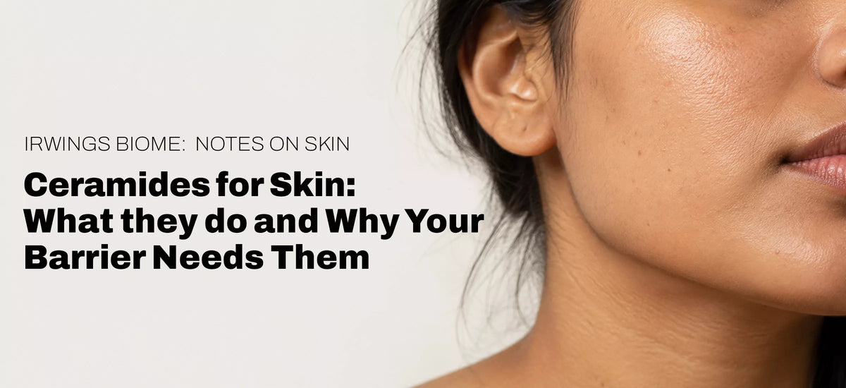 Ceramides for Skin: What They Do and Why Your Barrier Needs Them