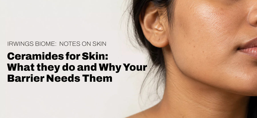 Ceramides for Skin: What They Do and Why Your Barrier Needs Them