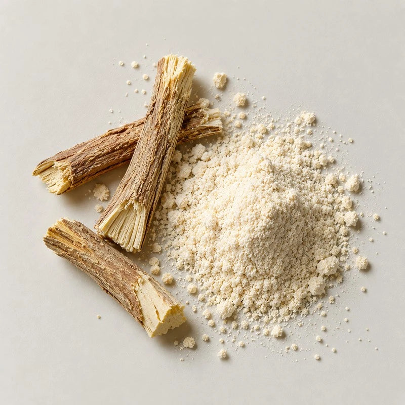 Three pieces of dried licorice root with fibrous cut ends beside a mound of fine off-white powder, on a stone grey background